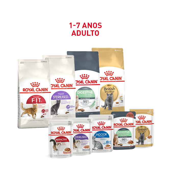 Descubra a linha para Adulto