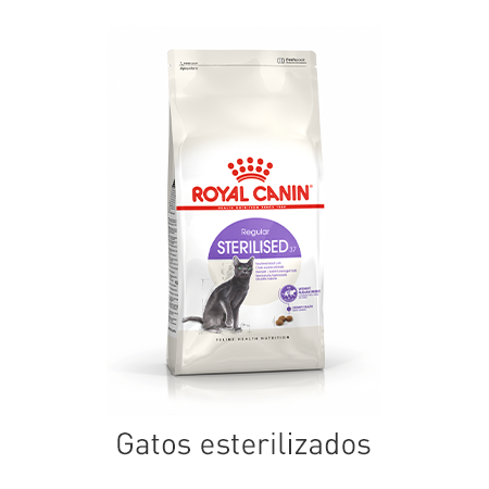 Linha esterilizado