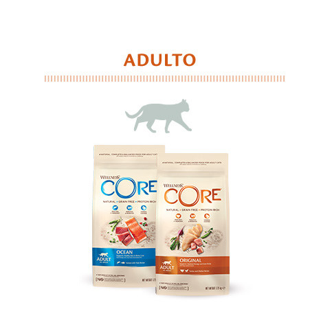 Alimento para gato adulto da marca Wellness Core