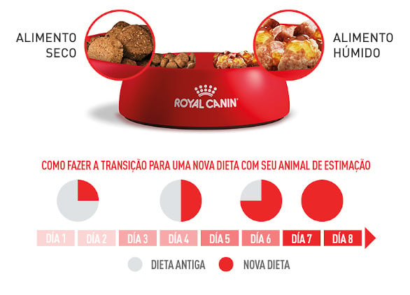 COMBINA ração SECA E HÚMIDA PARA UMA ALIMENTAÇÃO ÓTIMA