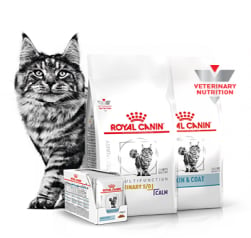 Descubra nossos produtos veterinários para GATOS